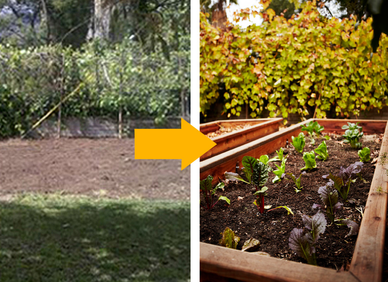 sustainable-vegetable-garden-orlando-melinda-joy-shambhalla-institute